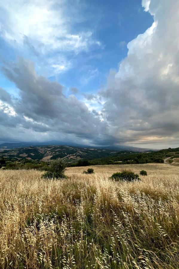 Casa Primavera A Rocca D'Orcia カスティリオーネ・ドルチャ エクステリア 写真